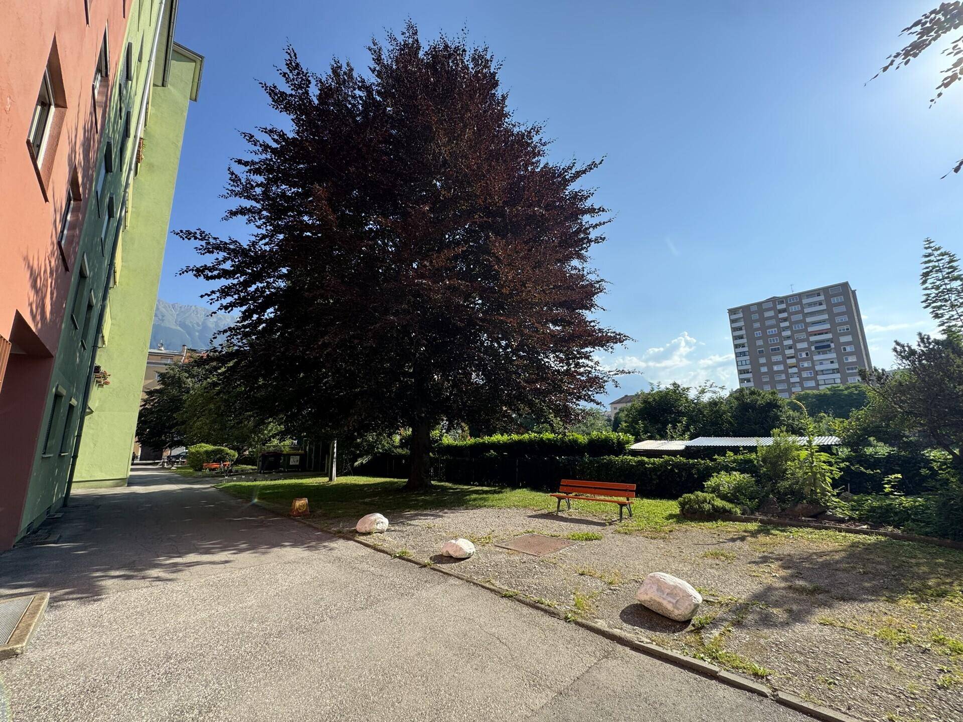 Gemeinschaftlicher Gartenbereich mit großem Baum und Sitzbank, bietet eine grüne Oase im Freien.