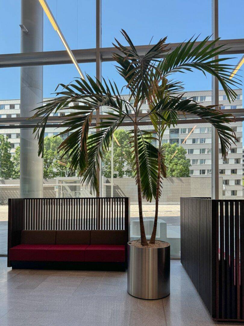 Helle Lobby mit einer großen Palme, modernen Sitzgelegenheiten und weitem Blick durch die Glasfassade.