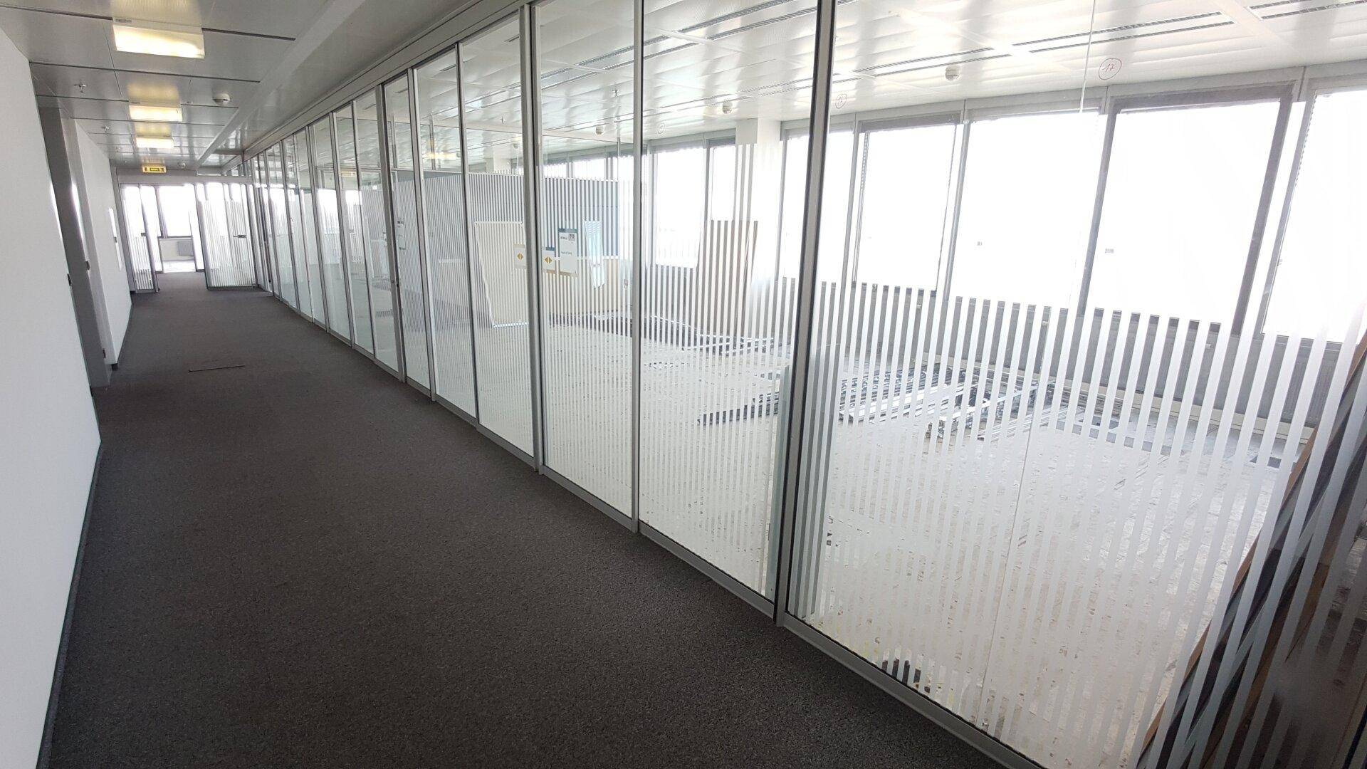 Langer Büroflur mit Glaswänden, die zu leeren Büroräumen führen, und dunklem Teppichboden.