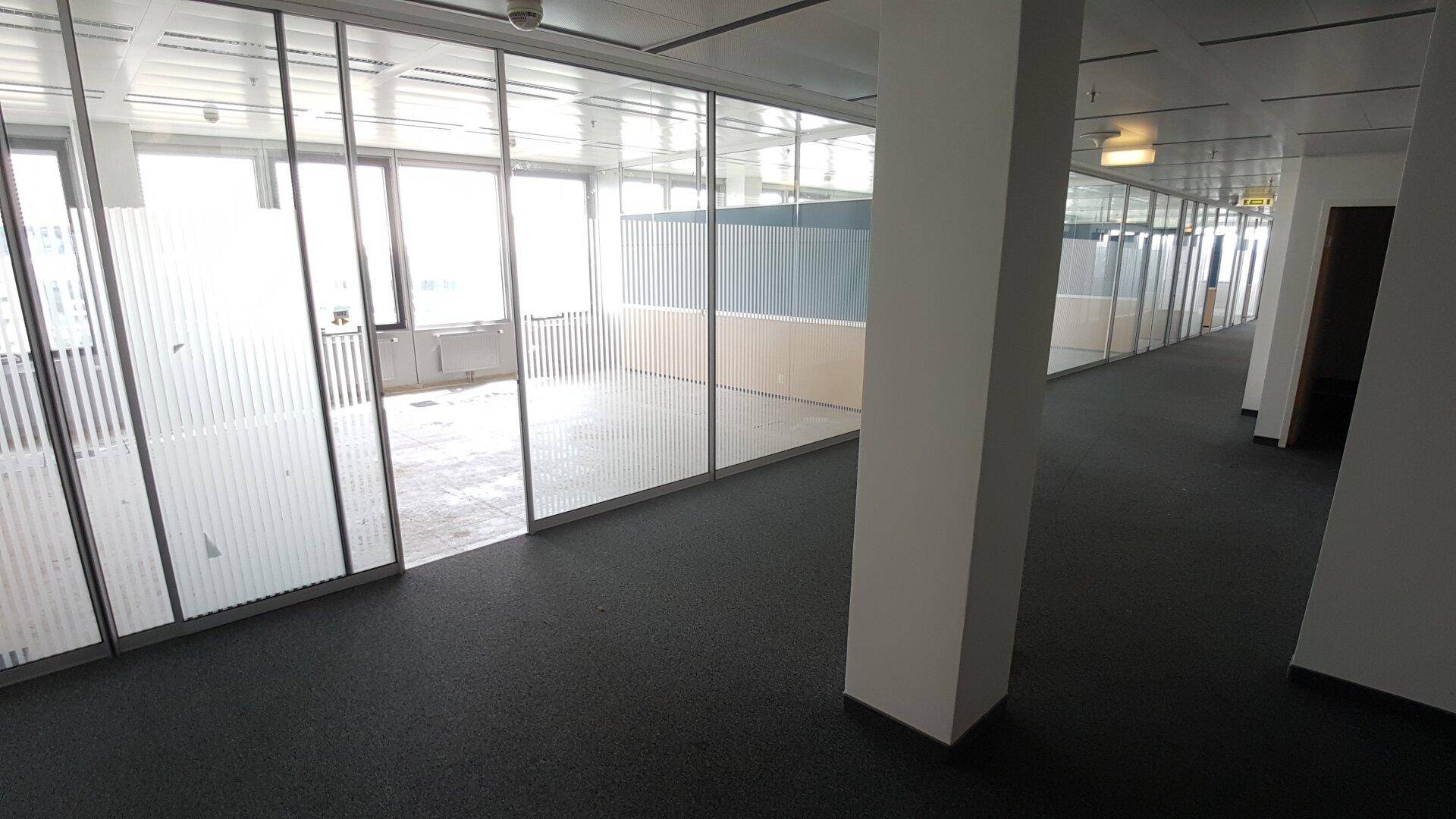 Leerer Büroraum mit dunklem Teppichboden, einer Säule und Glaswänden, die viel Tageslicht hereinlassen.