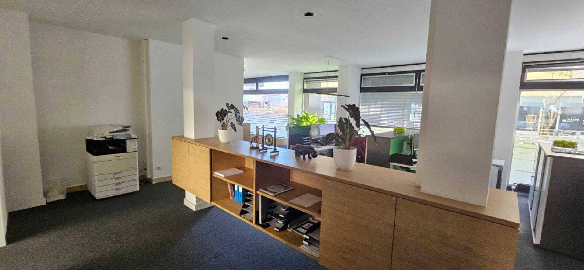 Offener Bürobereich mit eleganten Holzregalen, Pflanzen und einem weiten Blick auf weitere Arbeitsplätze.