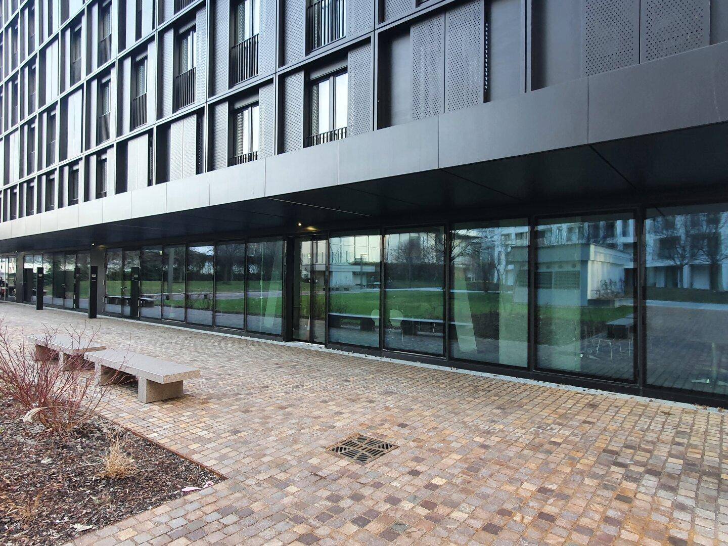Erdgeschossfassade eines modernen Gebäudes mit durchgehender Glasfront und gepflastertem Außenbereich.