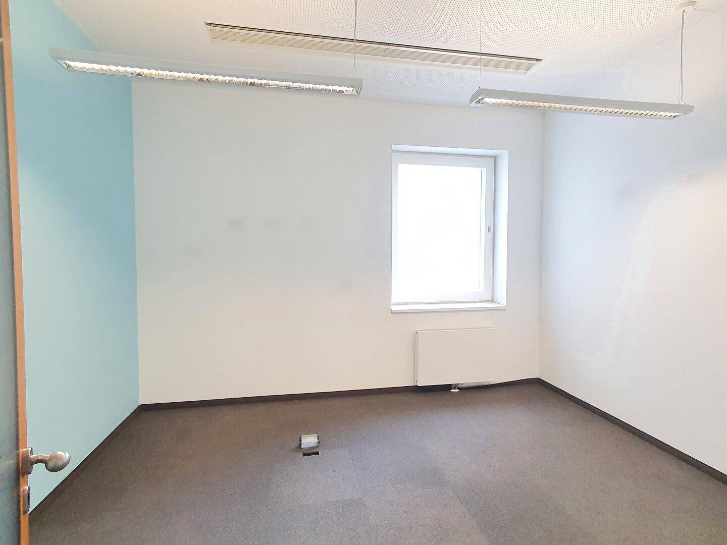 Büro mit Teppichboden, einem Fenster und einer farbigen Akzentwand.