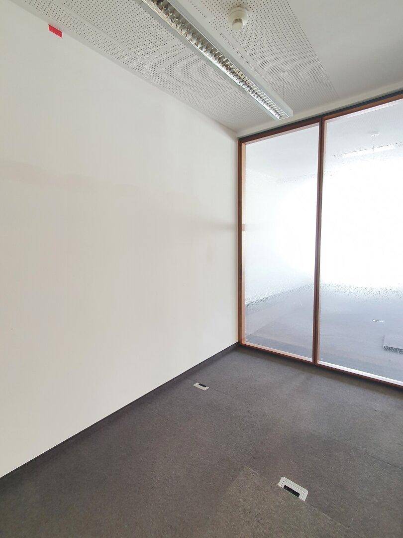 Büro mit Teppichboden und einer Glaswand, die viel Licht hereinlässt.
