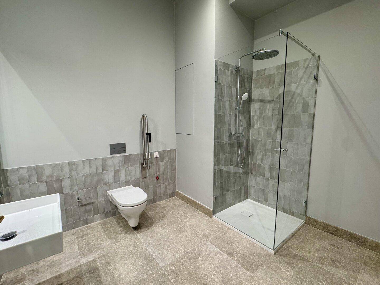 Modernes Badezimmer mit ebenerdiger Dusche, Wand-WC und grauen Fliesen.