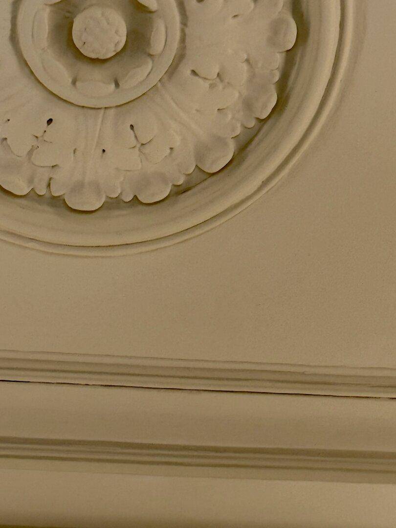 Nahaufnahme eines klassischen Deckenmedaillons mit floralen Stuckverzierungen.