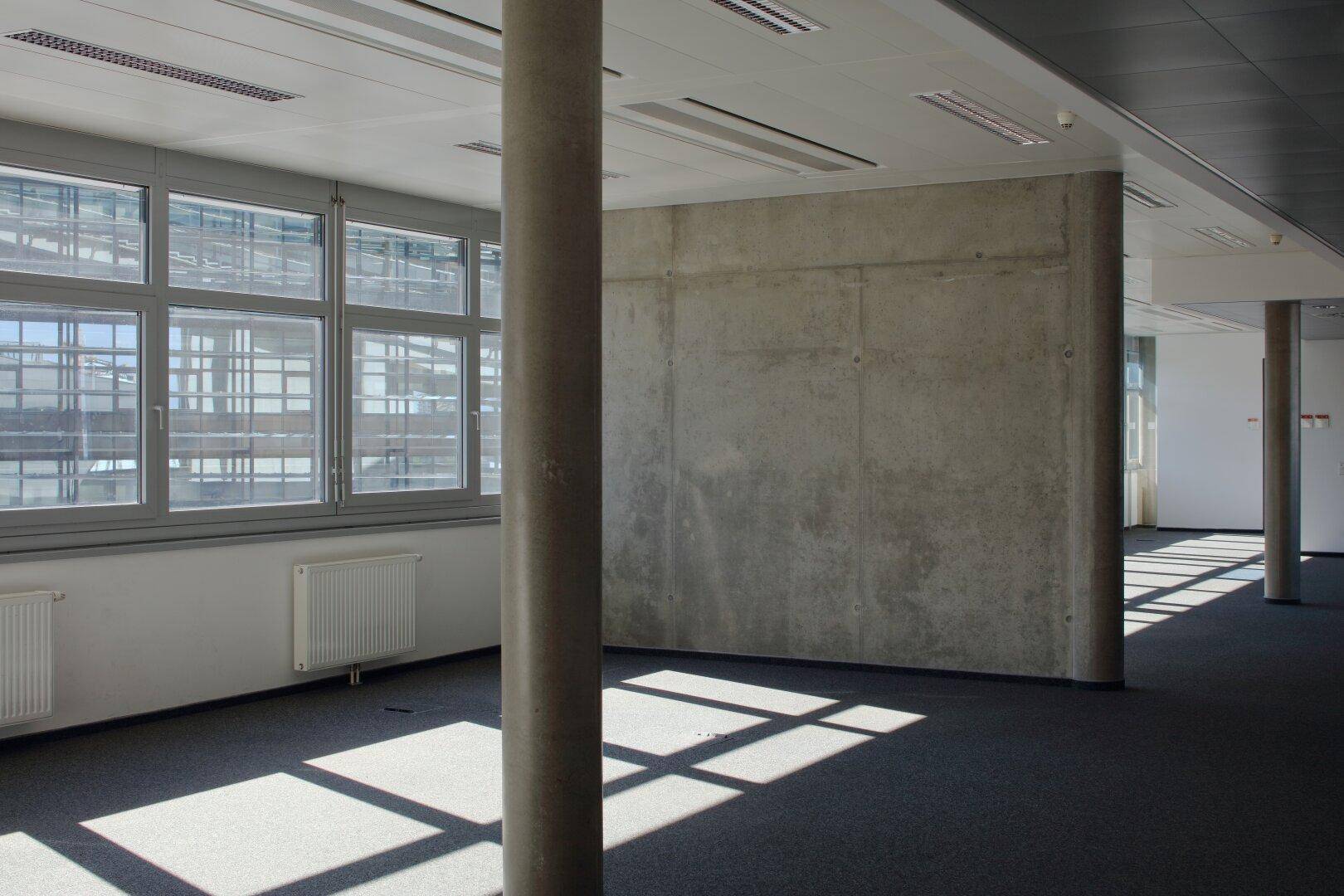 Helles Büro mit Teppichboden, großen Fenstern und einer Sichtbetonwand, durchflutet von Sonnenlicht.
