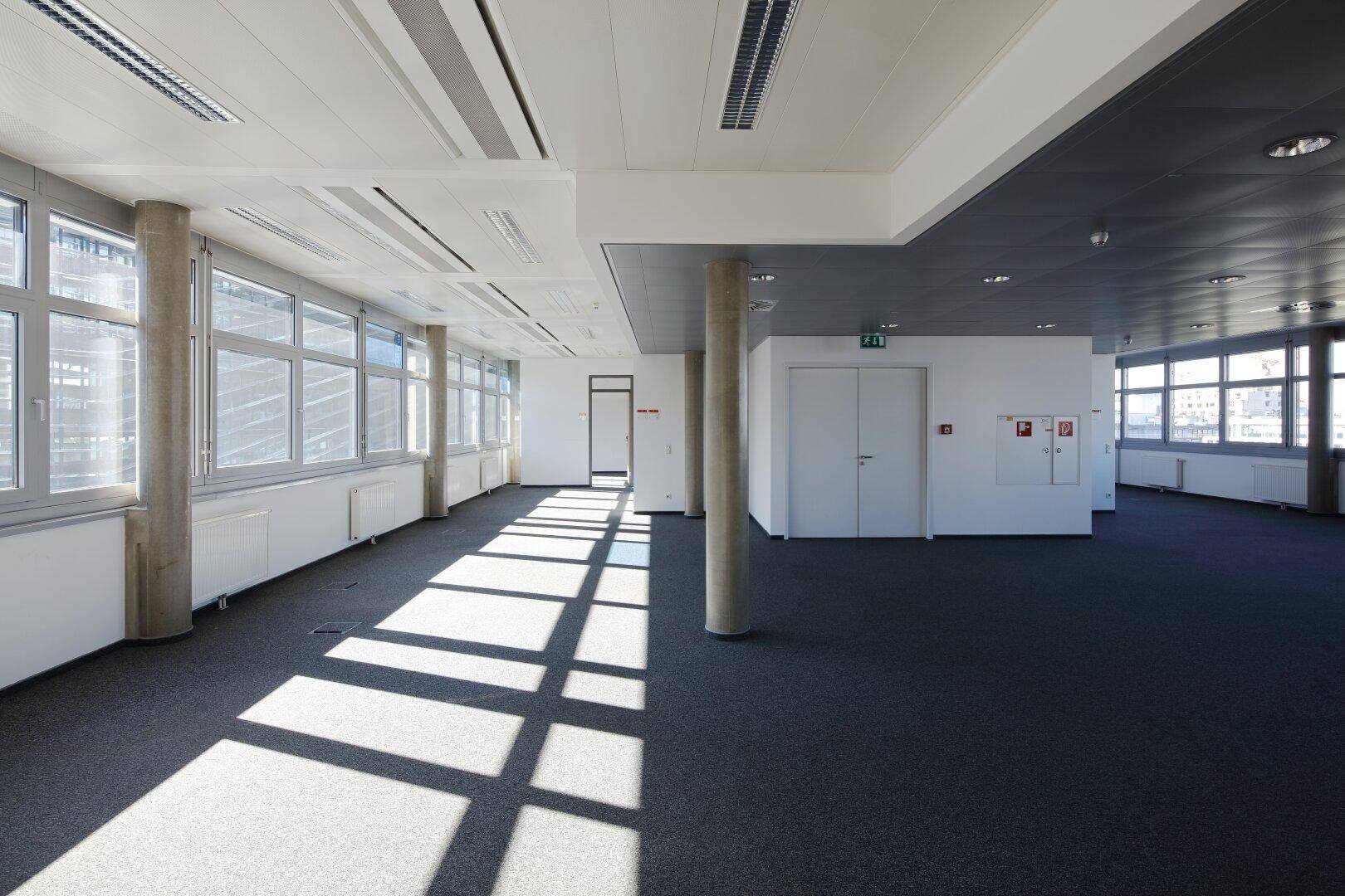Geräumiges, leeres Büro mit Teppichboden, großen Fenstern und viel natürlichem Licht.