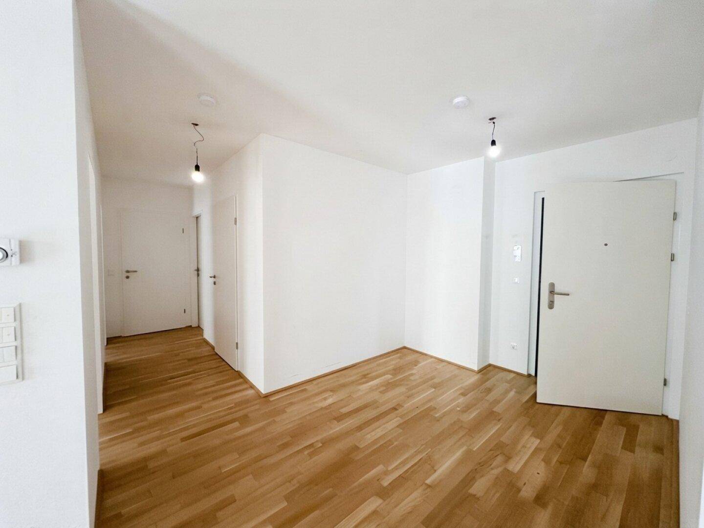 Heller Eingangsbereich mit Parkettboden und einer modernen Wohnungstür.