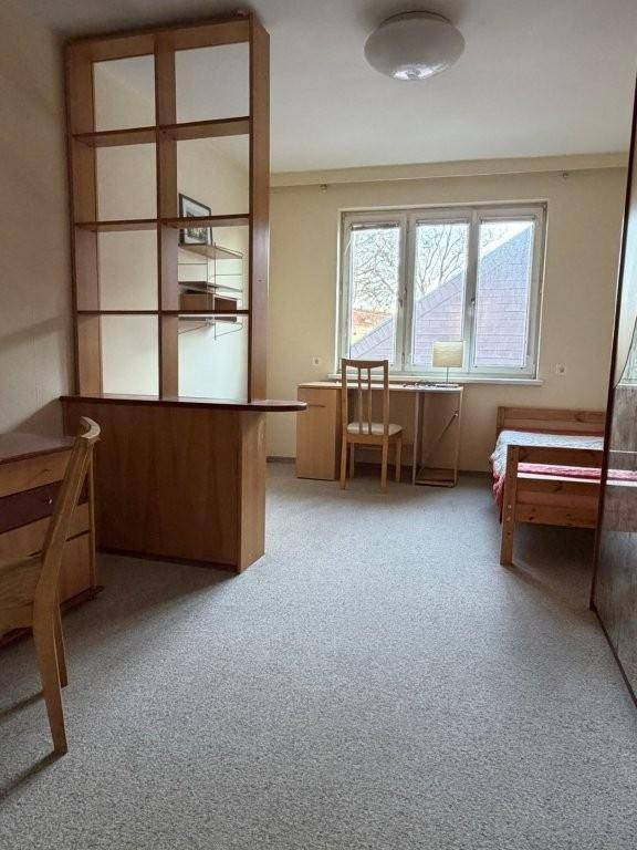 Helles Zimmer mit Teppichboden, Schreibtisch und einem Raumteiler aus Holz.