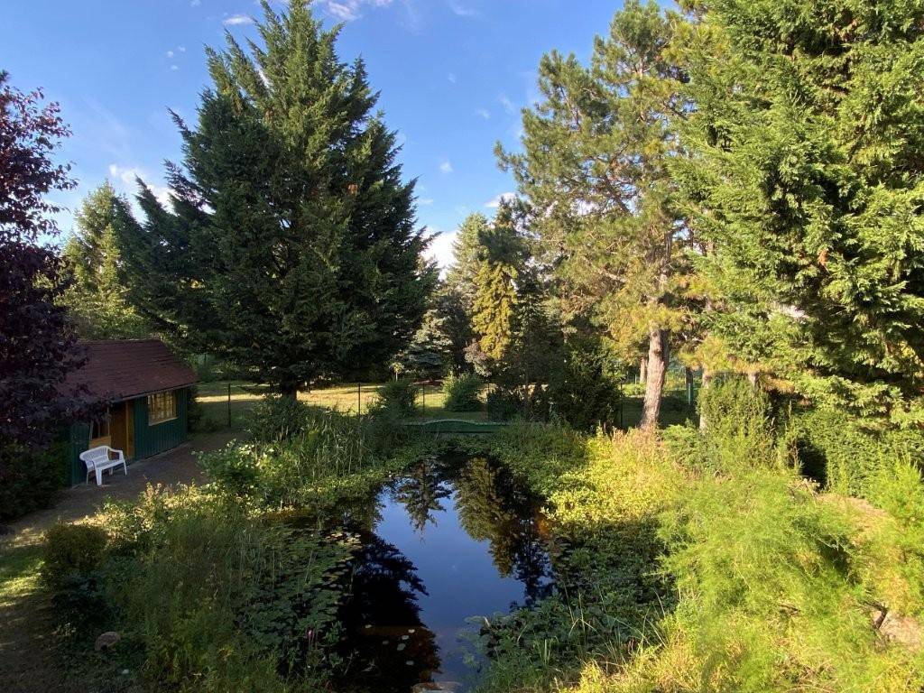 Weitläufiger Garten mit Teich, umgeben von hohen Bäumen und üppiger Vegetation.