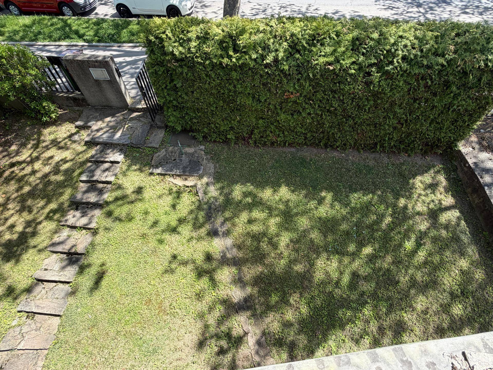 Gepflegter Vorgarten mit Rasenfläche, Steinweg und einer hohen Hecke als Sichtschutz.
