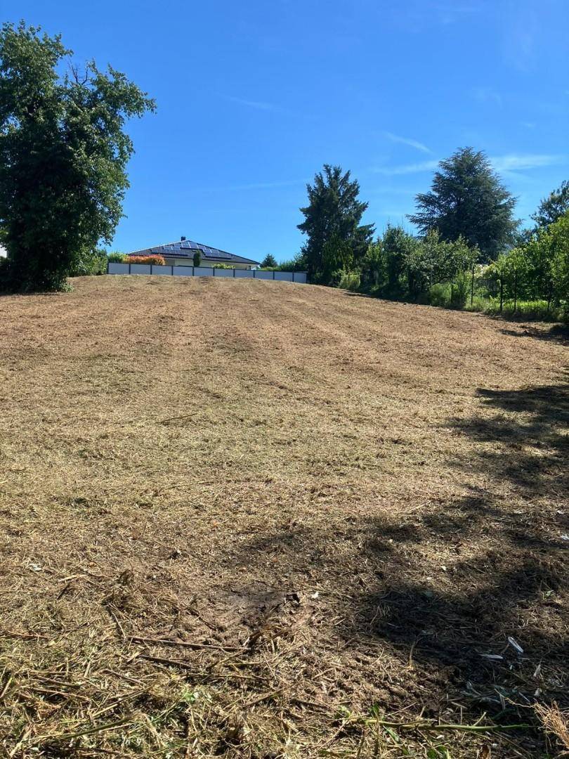 Sonniger Tag auf einem großen, gemähten Grundstück mit Blick auf ein Haus mit Solaranlage.