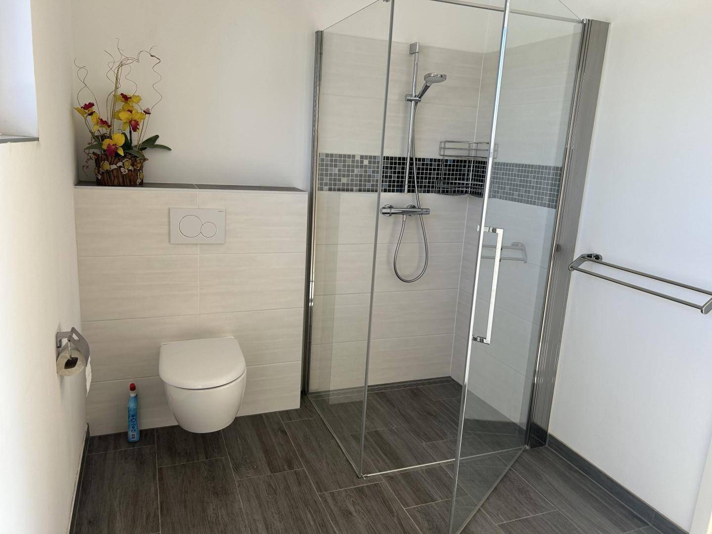Modernes Badezimmer mit ebenerdiger Dusche, Wand-WC und dunklen Bodenfliesen, hell und sauber.