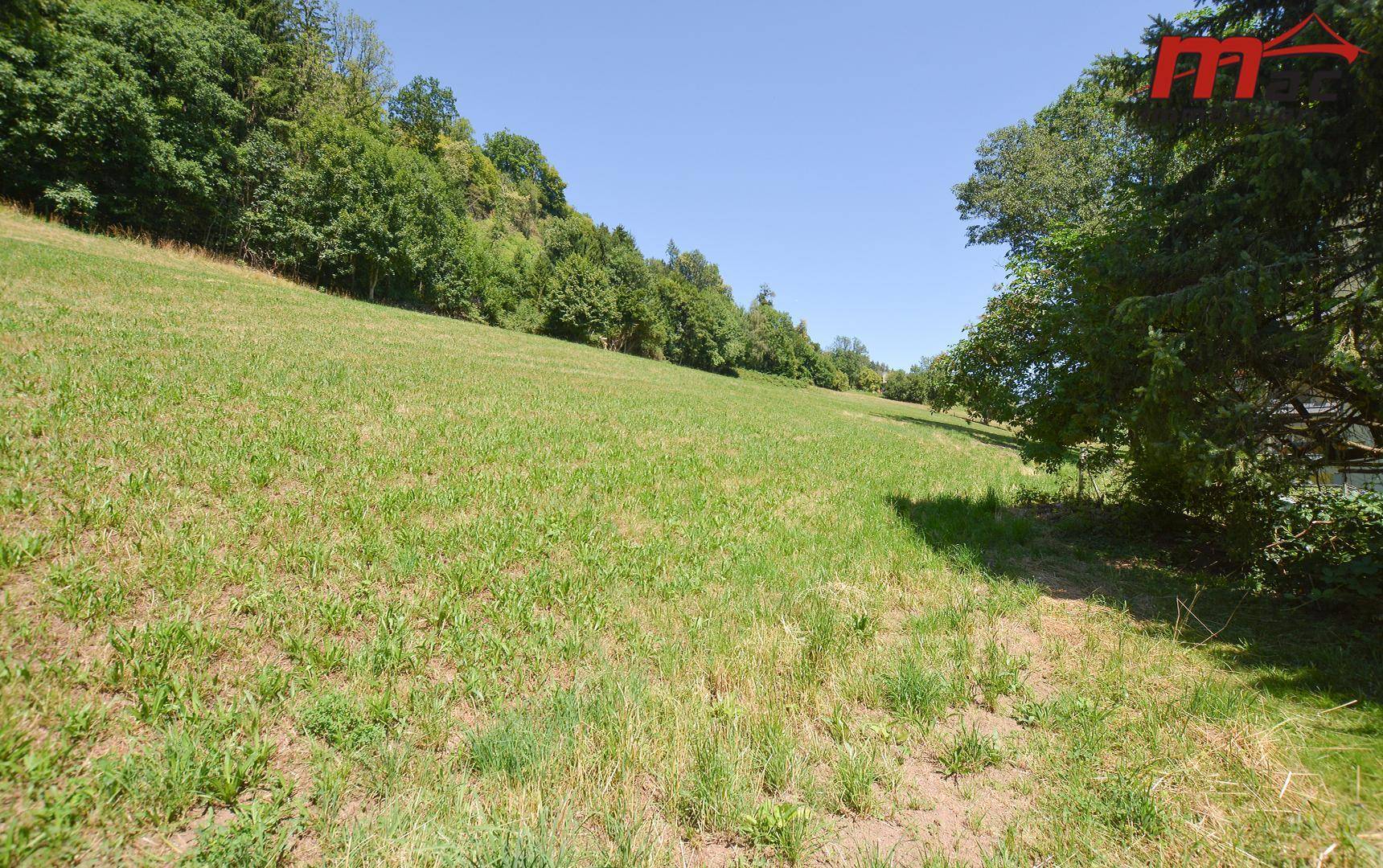 Ausgedehnte grüne Wiesenlandschaft mit angrenzendem Wald, ideal für Naturliebhaber.