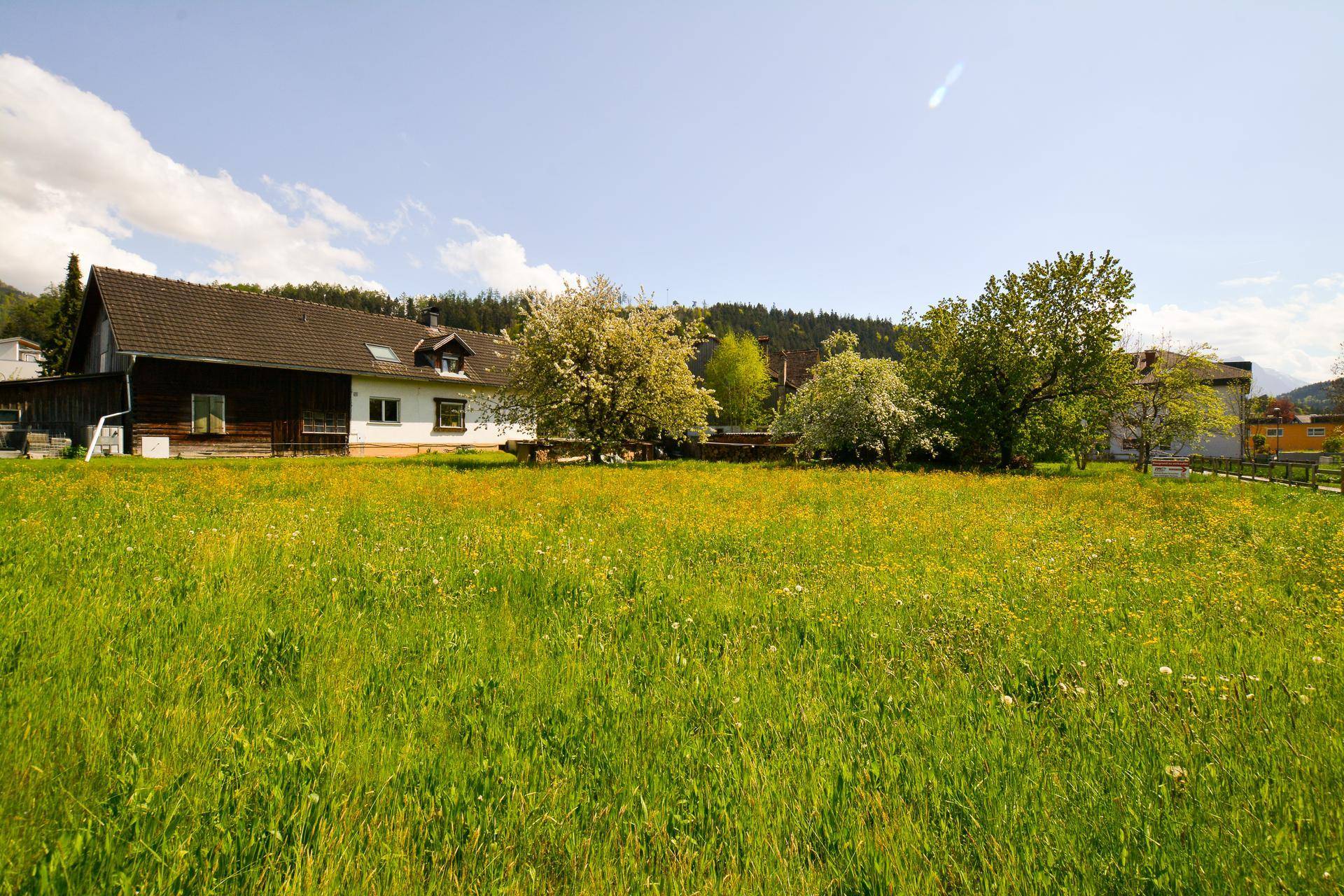 Sonnige Wiese mit gelben Blumen und einem traditionellen Haus im Hintergrund, umgeben von Bäumen.