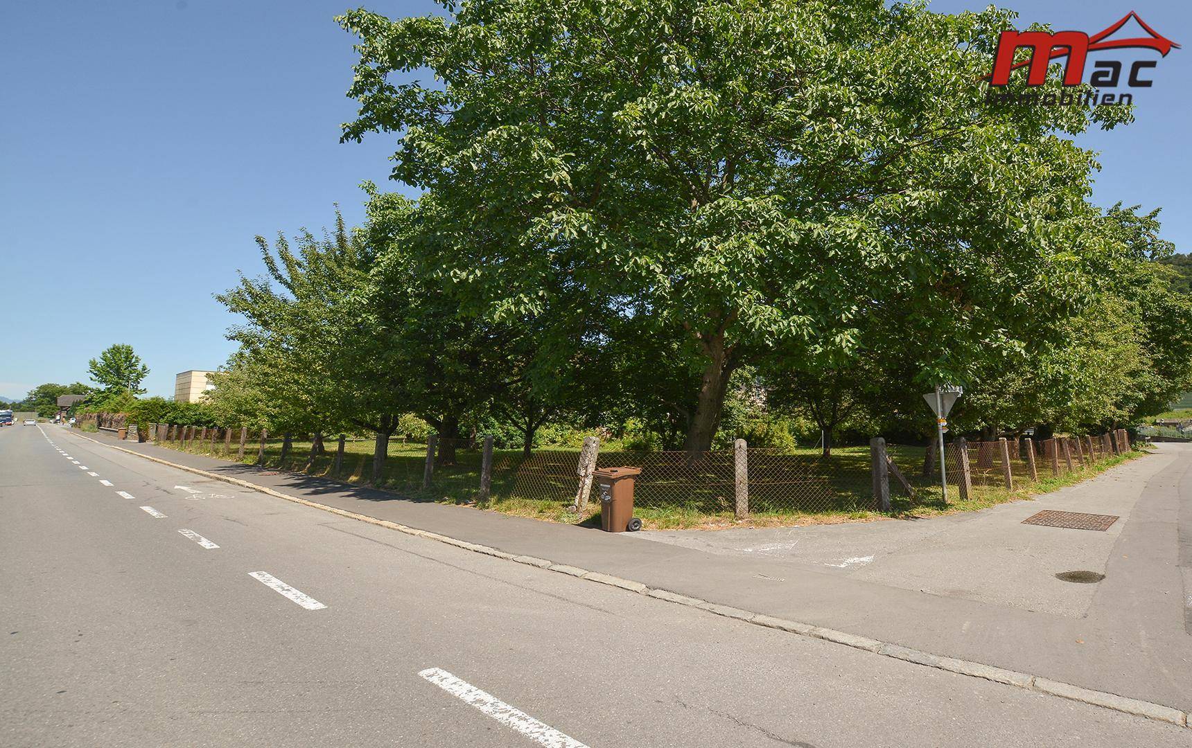 Straßenansicht eines Eckgrundstücks mit Bäumen, Zaun und angrenzender Fahrbahn.