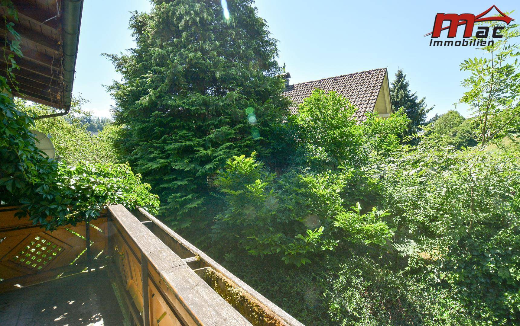 Weitblick vom Balkon über dichte Baumwipfel und die Dächer der umliegenden Häuser.