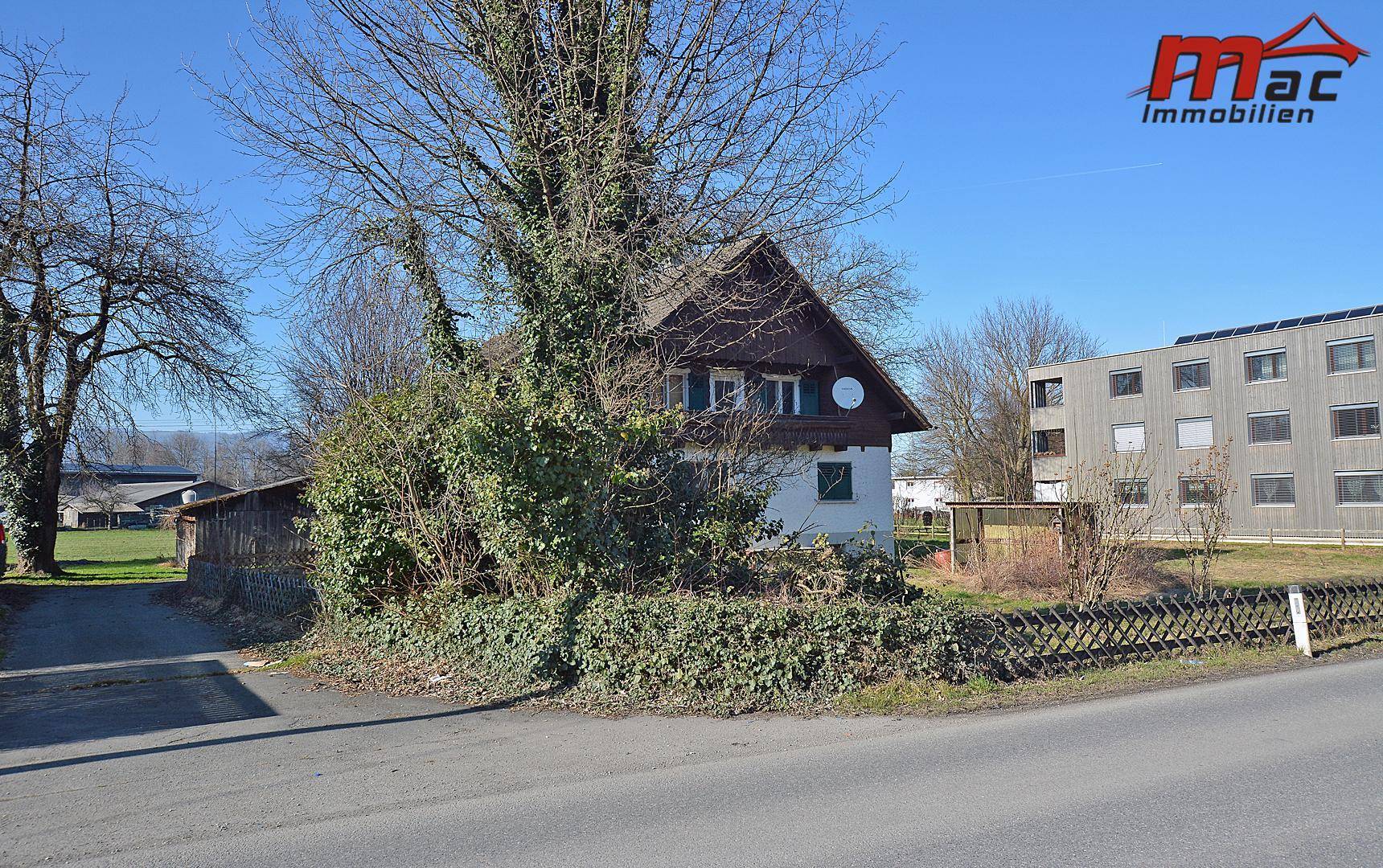 Haus umgeben von Bäumen und Sträuchern, mit Blick auf die Straße und Nachbargebäude.