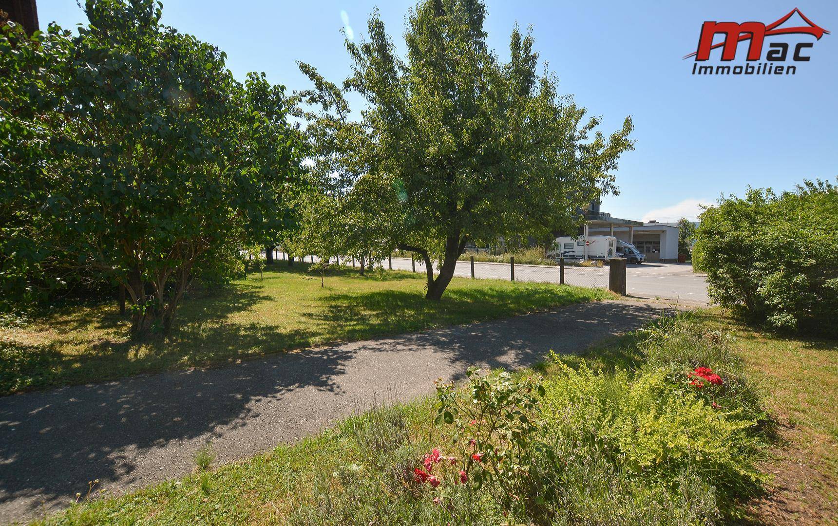 Grüner Gartenbereich mit einem Weg und Obstbäumen, angrenzend an eine Straße.