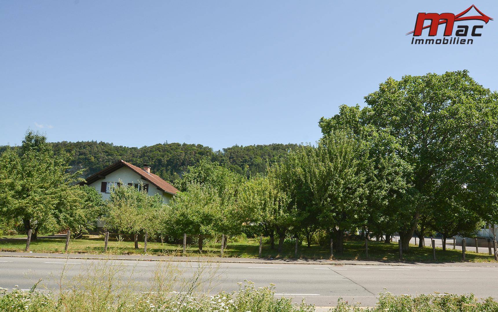 Wohnhaus hinter Bäumen mit Blick auf eine bewaldete Hügellandschaft im Hintergrund.