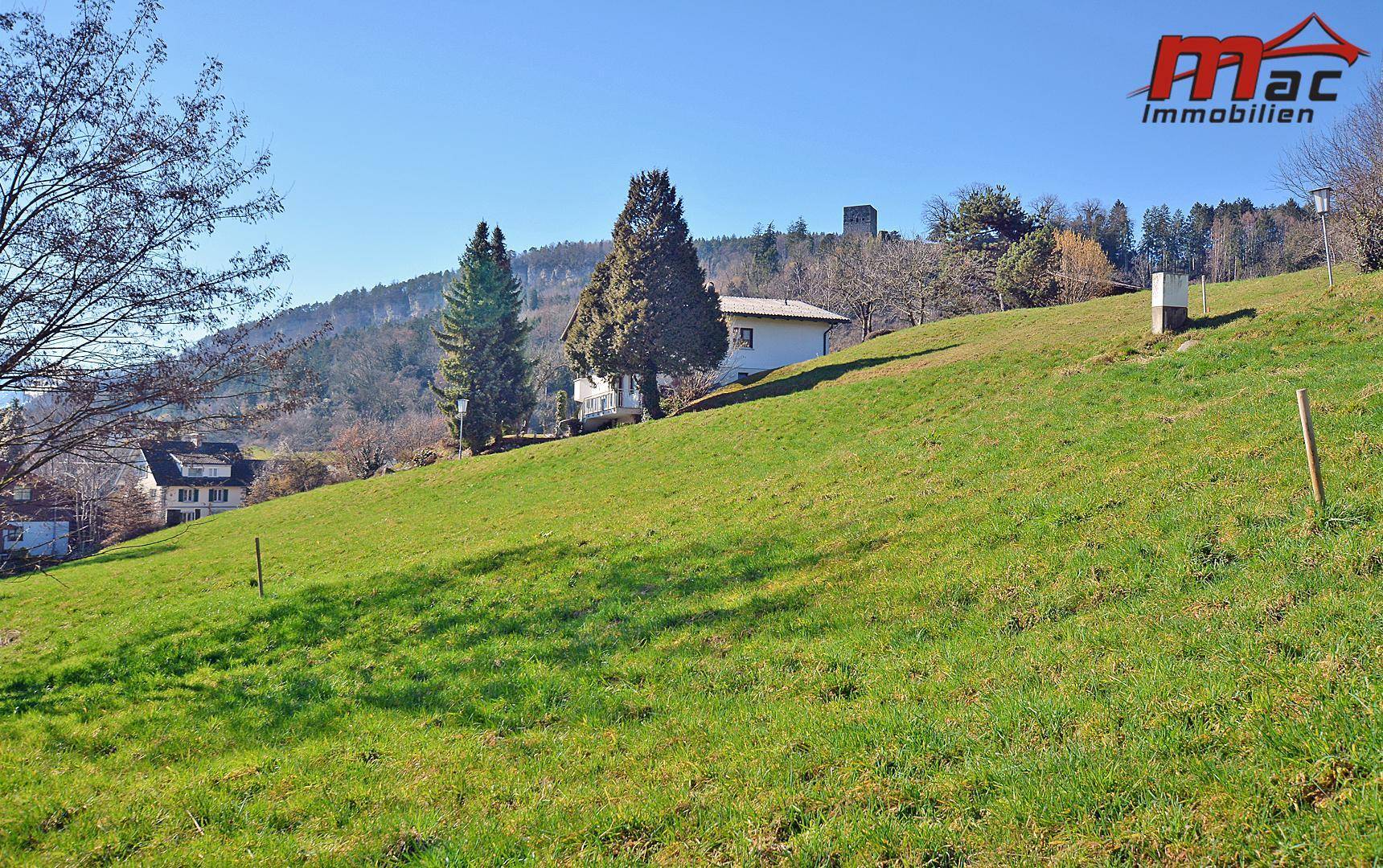 Weitläufige grüne Wiese auf einem Hang mit Blick auf die bewaldeten Hügel und die entfernten Gebäude.