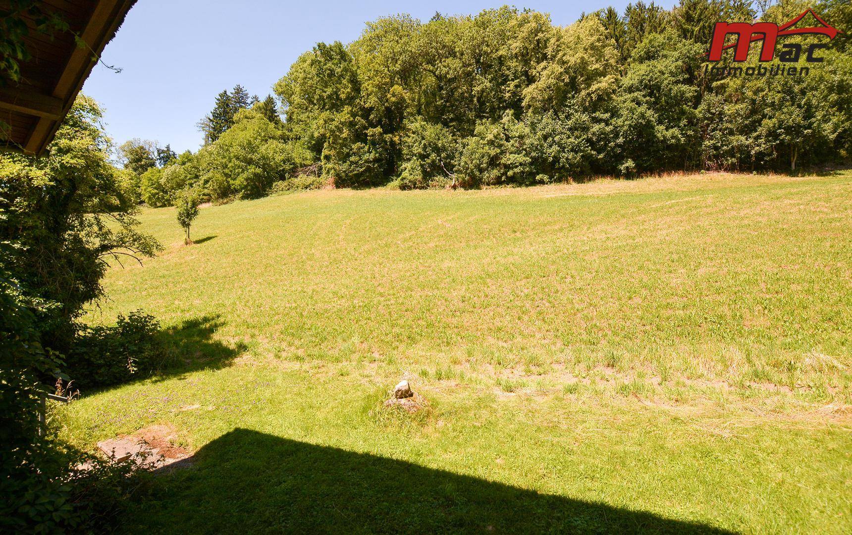 Weitläufige grüne Wiesenfläche mit Baumbestand im Hintergrund, bietet einen idyllischen Ausblick.