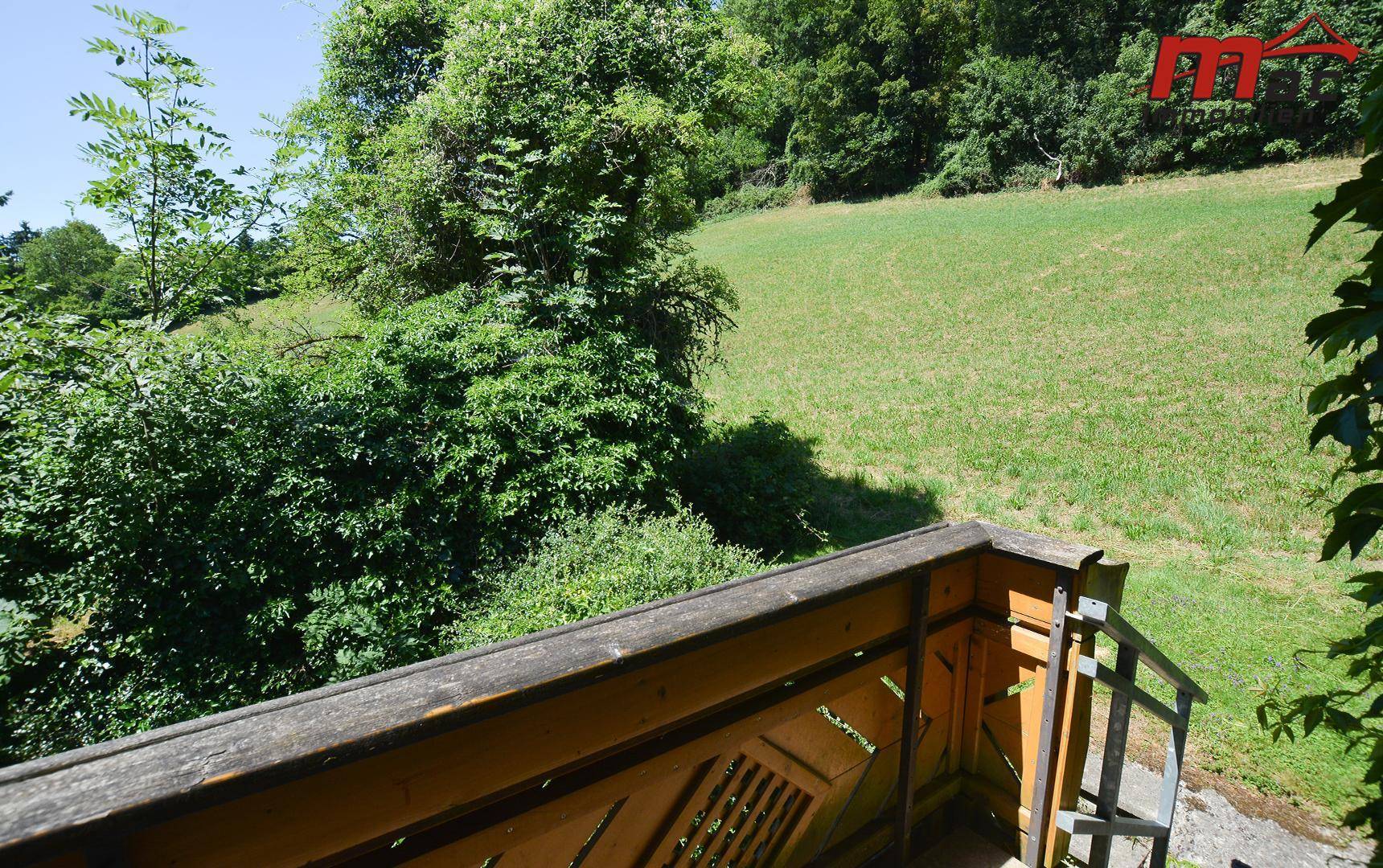 Panoramablick vom Balkon auf eine sanfte grüne Wiese und den angrenzenden Wald.
