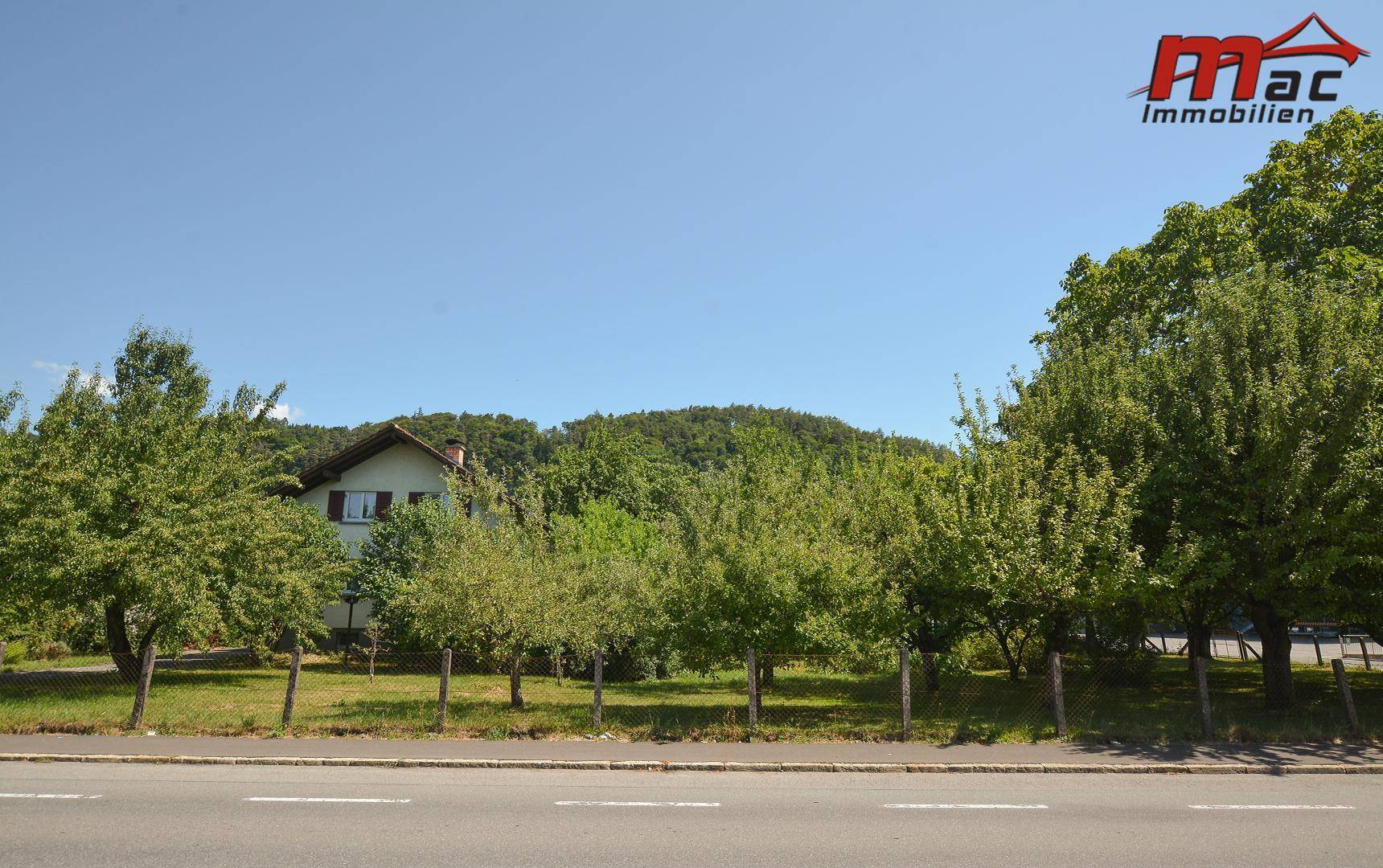 Ländliches Anwesen mit viel Grün und Obstbäumen, gesehen von der Straße aus.