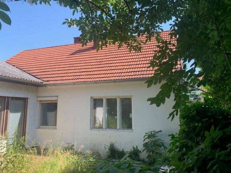 Seitenansicht eines Hauses mit Ziegeldach und Fenstern, umgeben von dichter Vegetation.