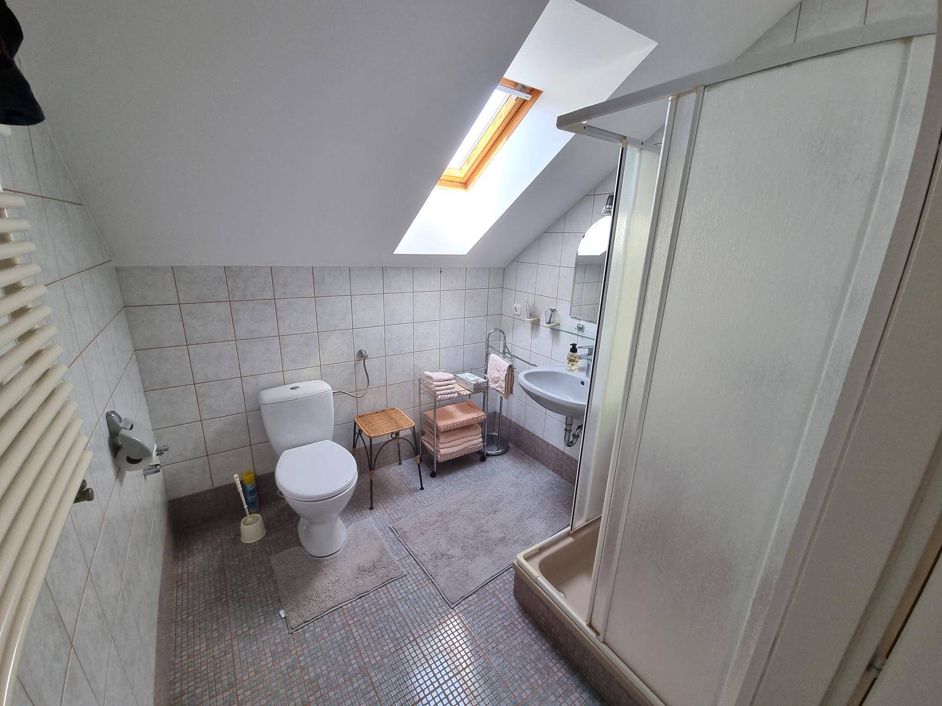 Funktionales Badezimmer im Dachgeschoss mit Dusche, Toilette und Dachfenster für Tageslicht.