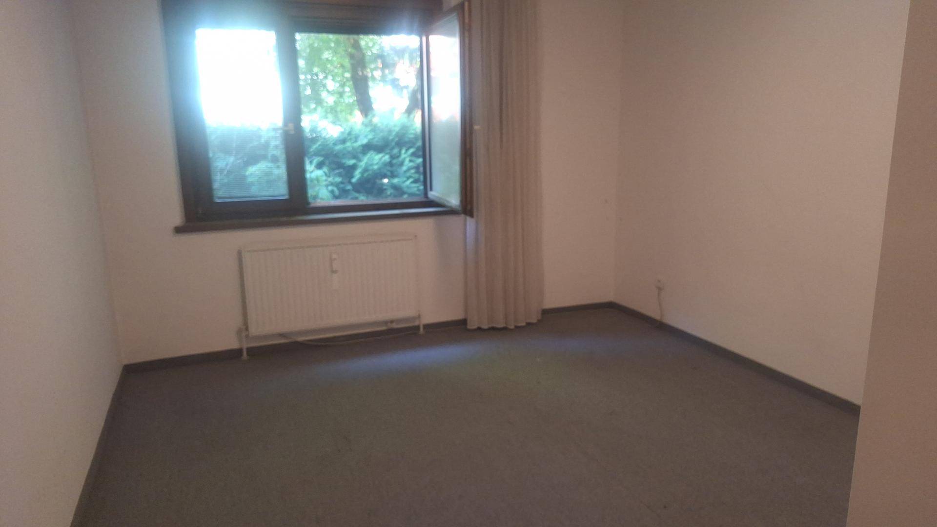Leeres Zimmer mit Teppichboden und Fenster mit Blick ins Grüne, ideal als Schlaf- oder Arbeitszimmer.