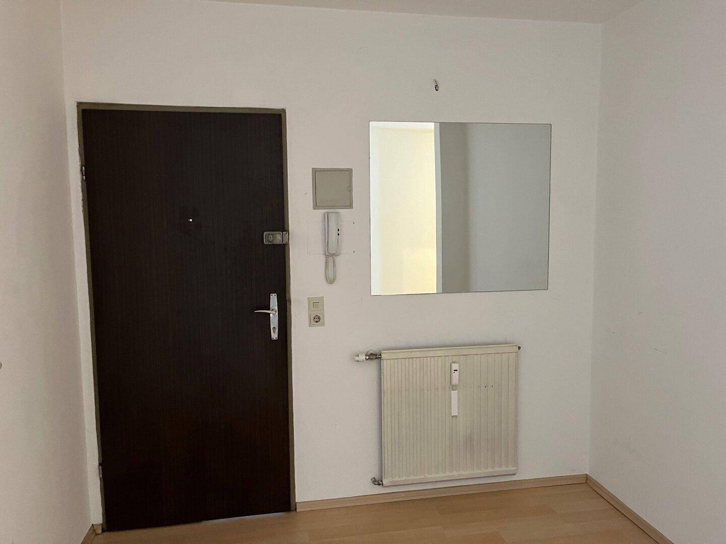 Eingangsbereich mit dunkler Holztür, Spiegel, Heizkörper und heller Laminatboden.