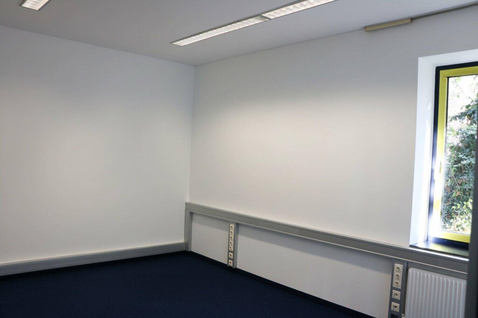 Leeres Büro mit blauem Teppichboden, weißen Wänden und einem Fenster mit Blick ins Grüne.