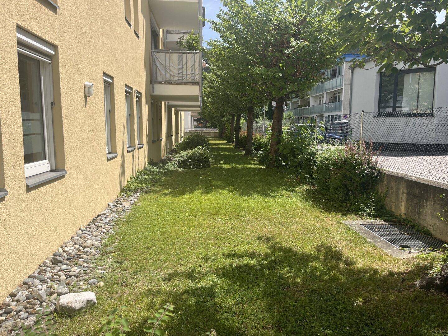 Gepflegter Rasenbereich entlang der Gebäudeseite mit Bäumen und Sträuchern.