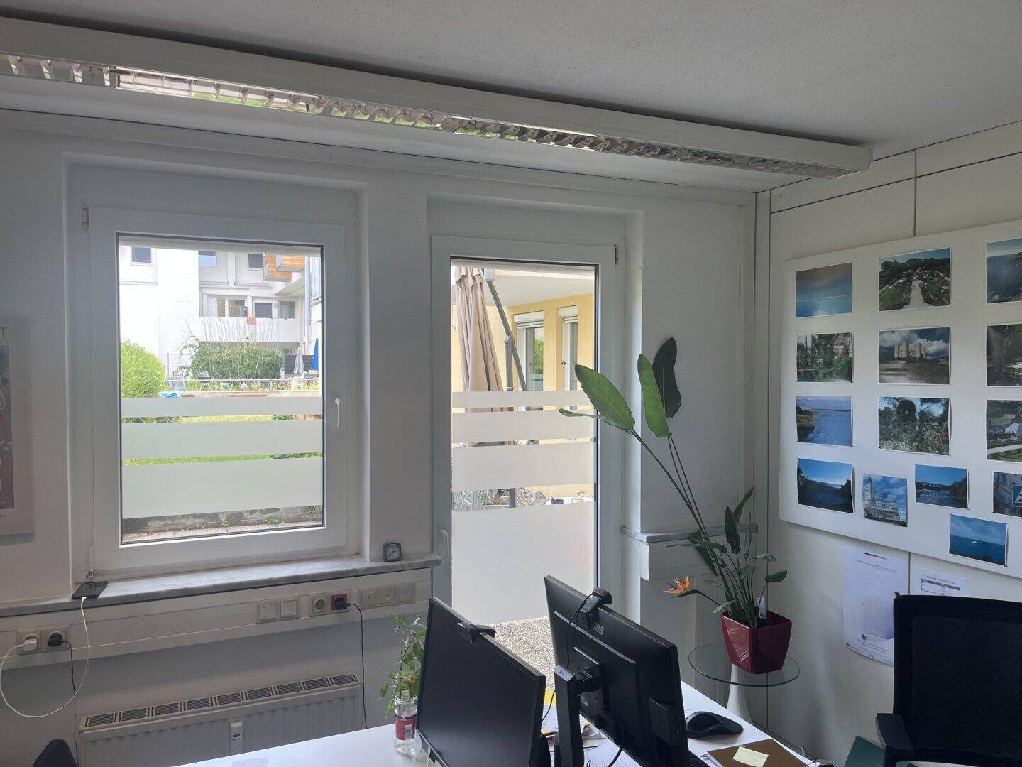 Büro mit Fenstern und einer Tür, die zu einem Außenbereich führt, sowie einer Pflanze im Raum.