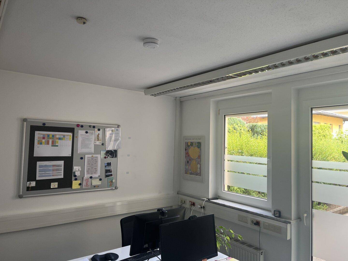Helles Büro mit großen Fenstern, die viel Tageslicht hereinlassen und eine grüne Aussicht bieten.