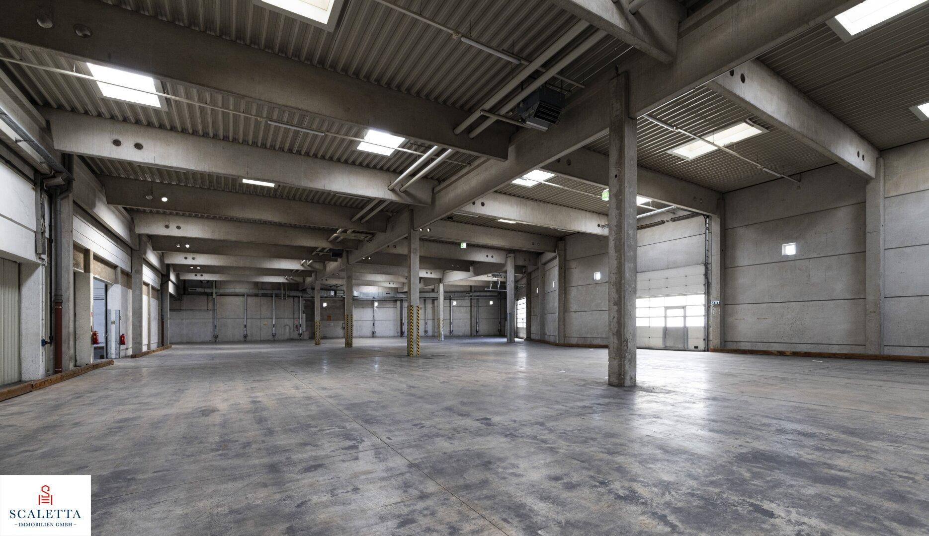 Geräumige Lagerhalle mit hohen Decken, Betonstützen und natürlichem Lichteinfall durch Oberlichter.