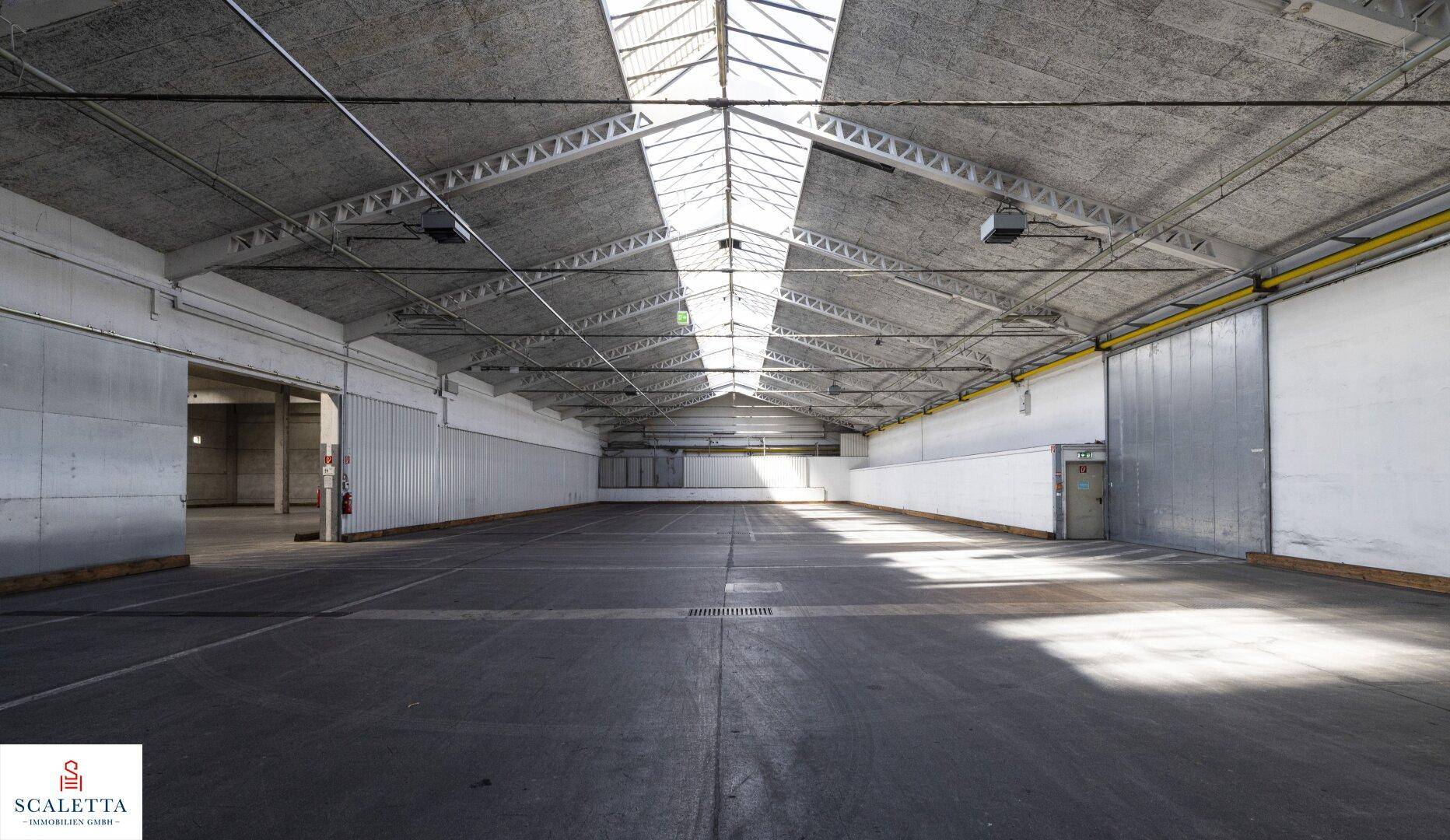 Weitläufige Lagerhalle mit gewölbter Decke, durchgehenden Oberlichtern und viel Tageslicht.