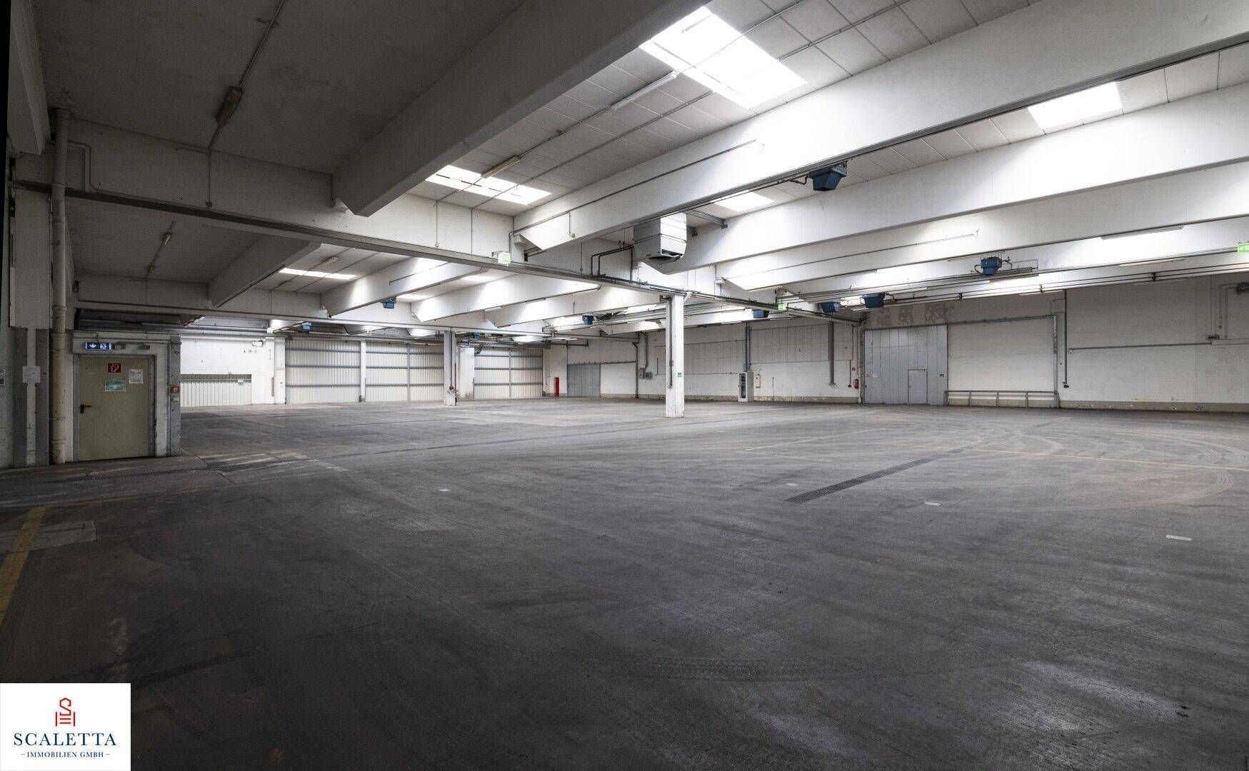 Leere Lagerhalle mit mehreren Rolltoren im Hintergrund und ausreichend Platz für Logistik.
