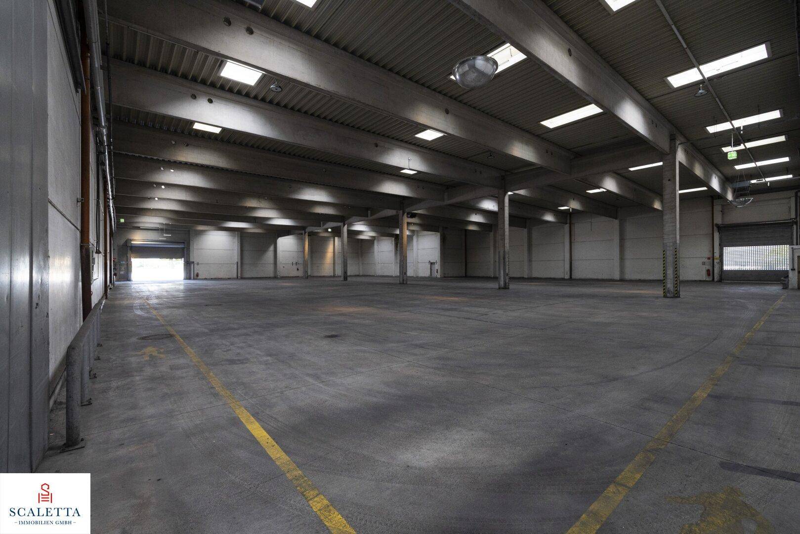 Geräumige Lagerhalle mit gelben Bodenmarkierungen und mehreren Zugangstüren für effiziente Abläufe.