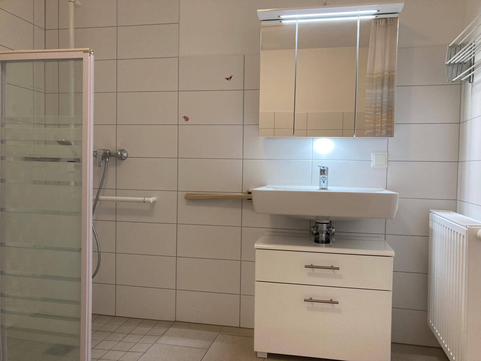 Modernes Badezimmer mit Duschkabine, Waschtischunterschrank und Spiegelschrank.