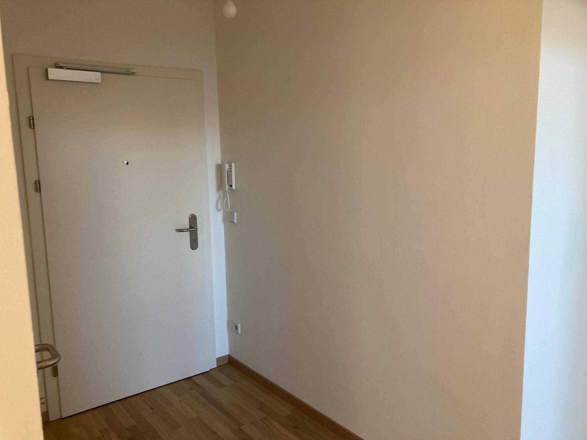 Eingangsbereich mit weißer Wohnungstür, Gegensprechanlage und Parkettboden, der einen freundlichen Empfang bietet.