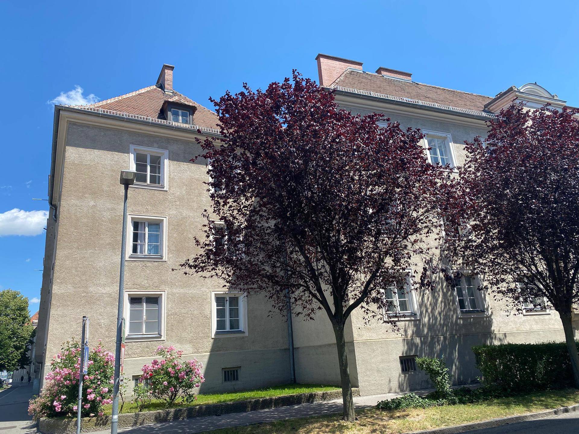 Seitenansicht eines Wohnhauses mit vielen Fenstern, umgeben von Bäumen und Sträuchern unter blauem Himmel.