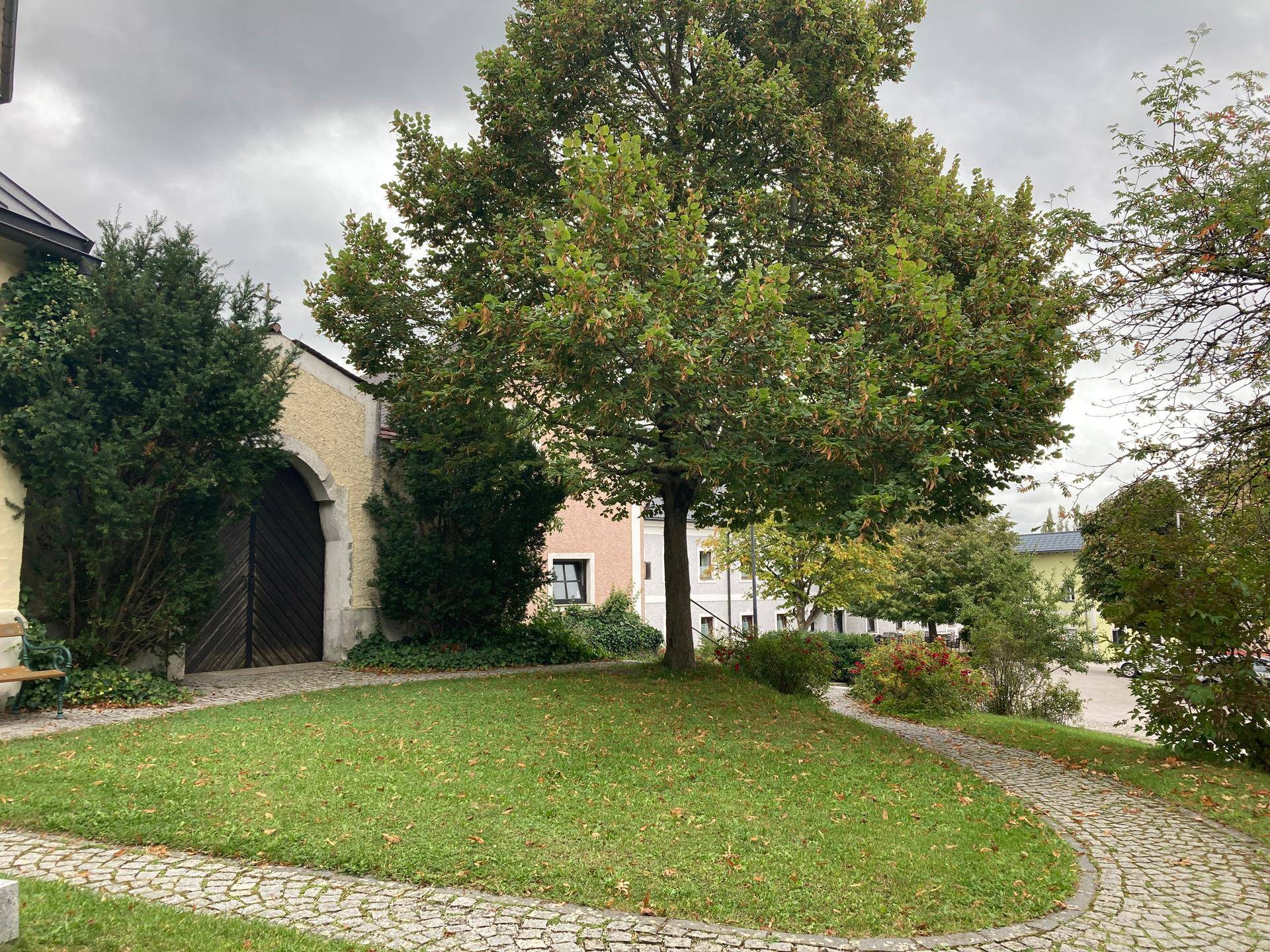 Alter Baumbestand und ein gepflasterter Weg vor einem traditionellen Gebäude mit Holztor.