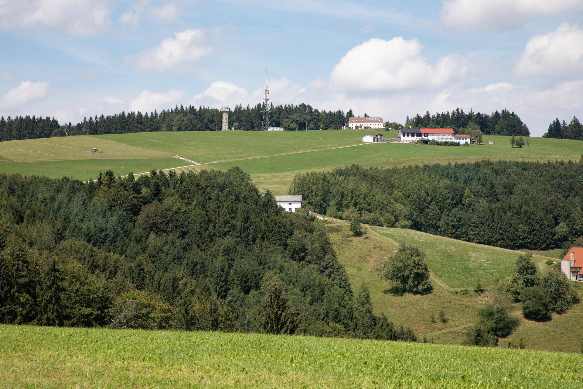 Weitläufige grüne Hügellandschaft mit Wäldern, vereinzelten Häusern und einem Sendeturm am Horizont.