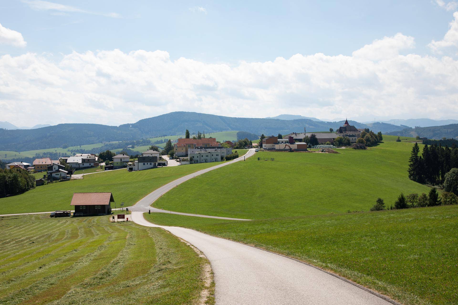 Geschwungene Landstraße führt durch eine idyllische grüne Hügellandschaft mit vereinzelten Gebäuden.