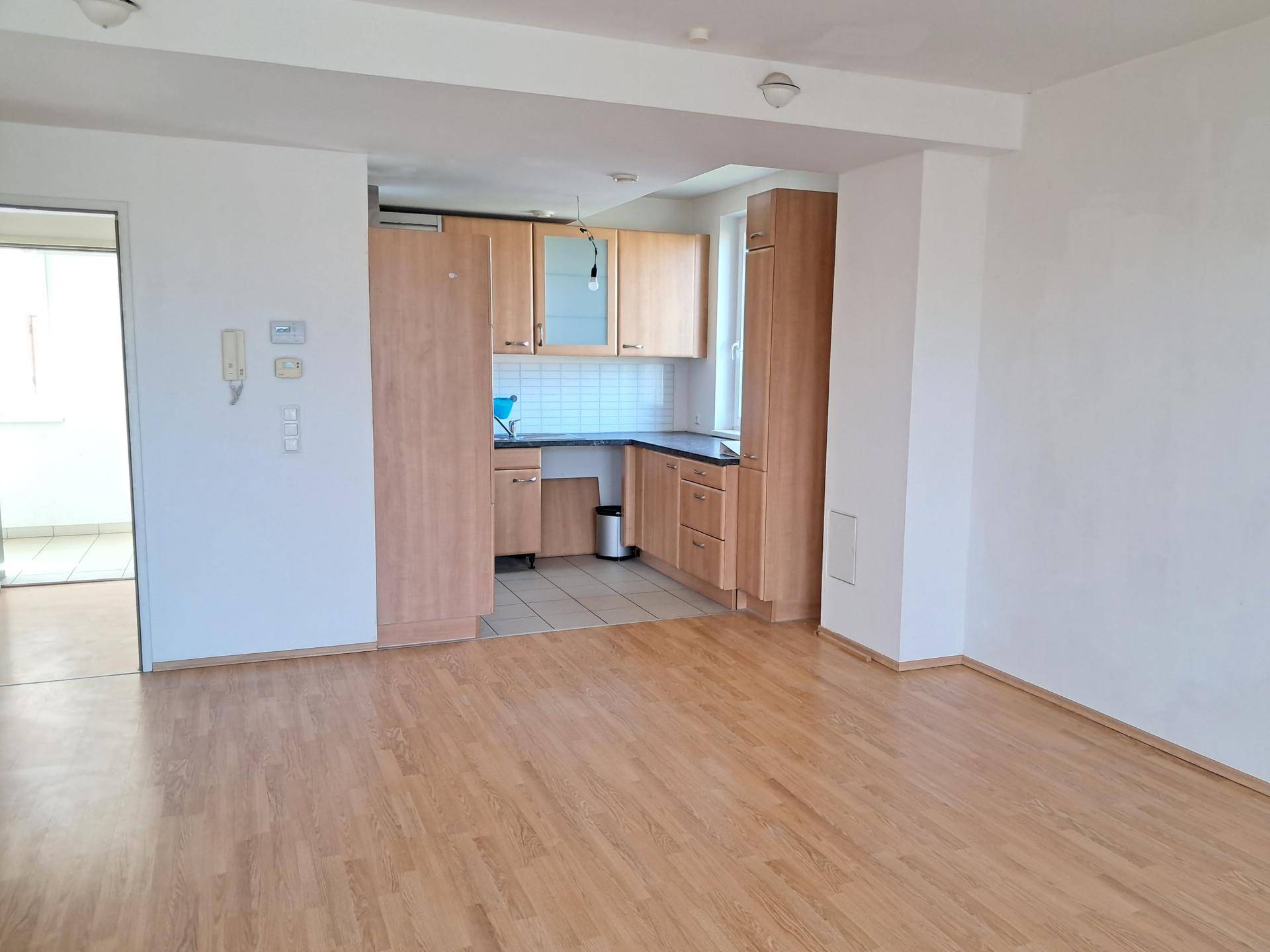 Offener Wohnbereich mit integrierter Küchenzeile und Laminatboden, ideal für modernes Wohnen.