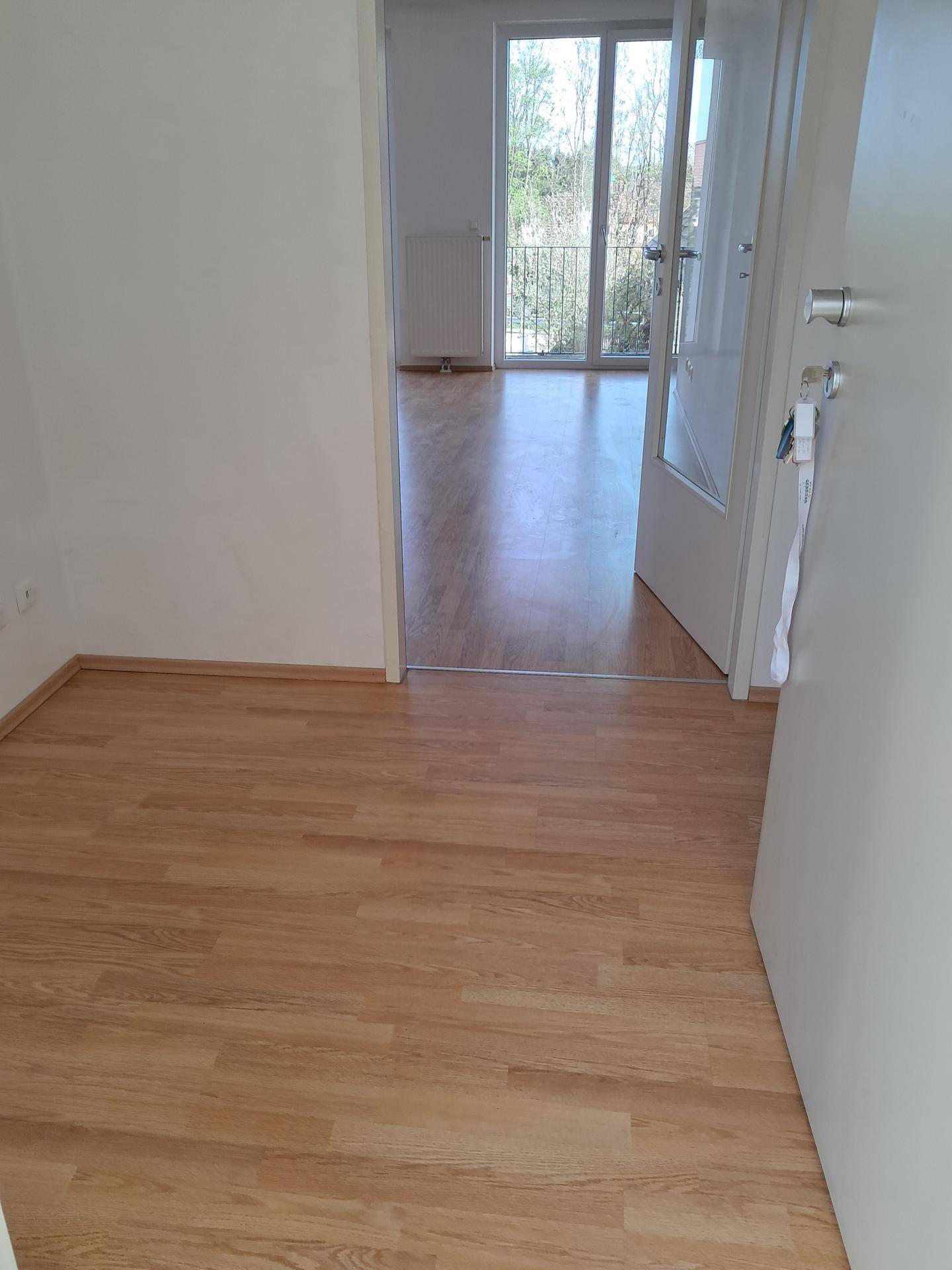 Eingangsbereich zu einem Zimmer mit Laminatboden und Zugang zu einem Balkon.