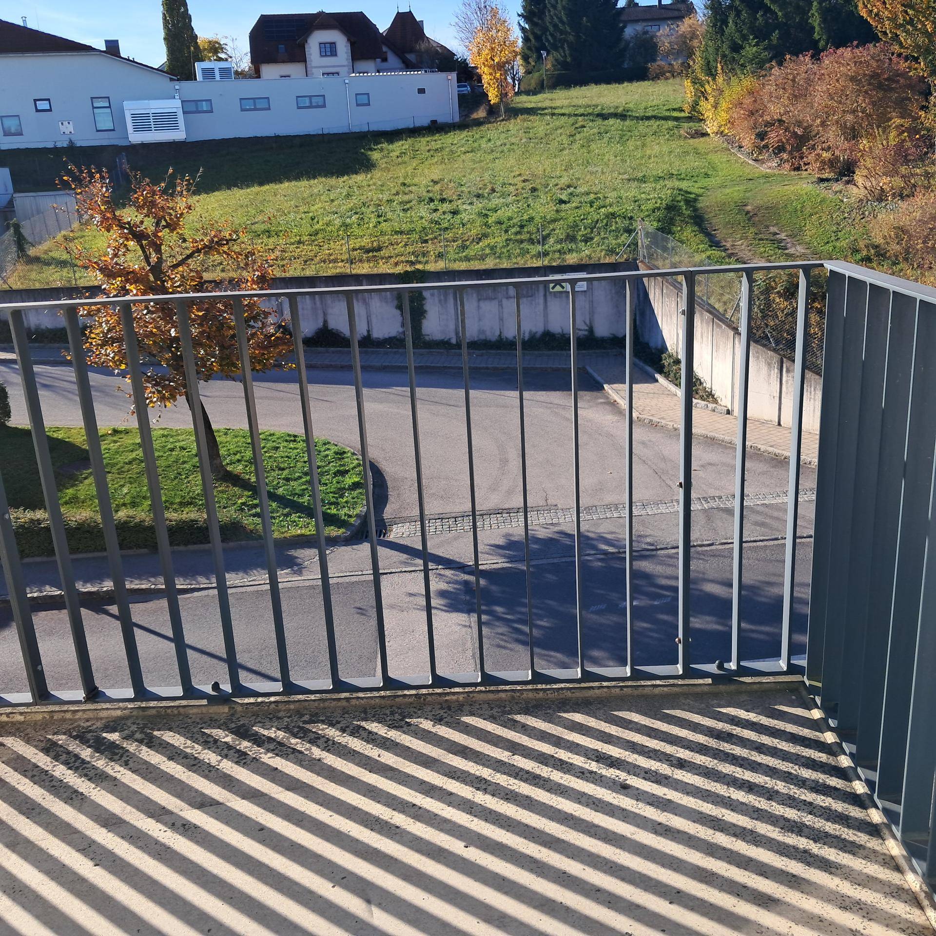 Weitblick vom Balkon über eine Straße, einen Parkplatz und eine grüne Wiese mit Bäumen.